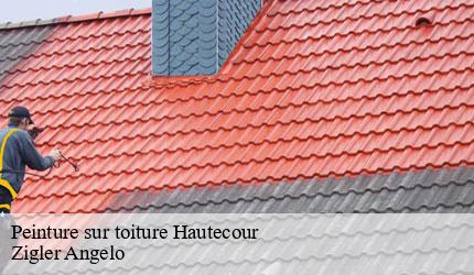 Peinture sur toiture  hautecour-73600 Zigler Angelo