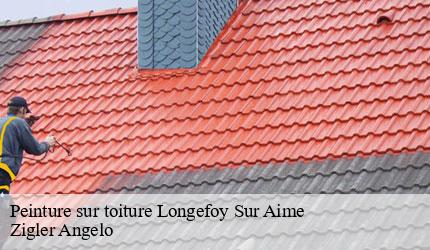 Peinture sur toiture  longefoy-sur-aime-73210 Zigler Angelo