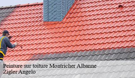 Peinture sur toiture  montricher-albanne-73870 Zigler Angelo