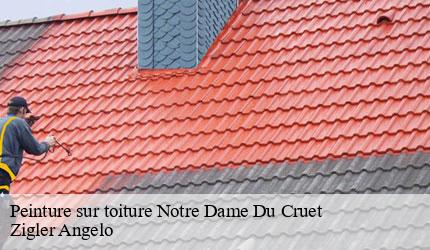 Peinture sur toiture  notre-dame-du-cruet-73130 Zigler Angelo