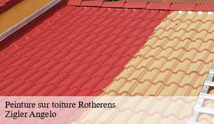 Peinture sur toiture  rotherens-73110 Zigler Angelo