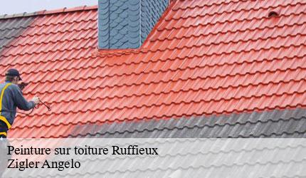 Peinture sur toiture ruffieux-73310 Zigler Angelo