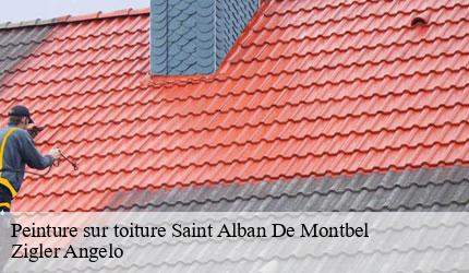 Peinture sur toiture  saint-alban-de-montbel-73610 Zigler Angelo