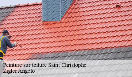 Peinture sur toiture  saint-christophe-73360 Zigler Angelo