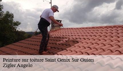 Peinture sur toiture  saint-genix-sur-guiers-73240 Zigler Angelo