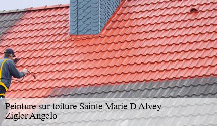 Peinture sur toiture  sainte-marie-d-alvey-73240 Zigler Angelo