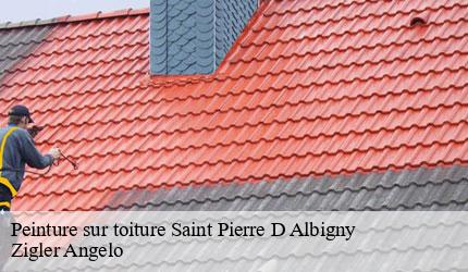 Peinture sur toiture  saint-pierre-d-albigny-73250 Zigler Angelo