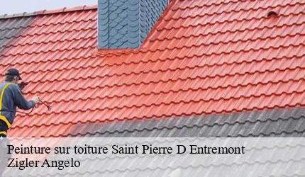 Peinture sur toiture  saint-pierre-d-entremont-73670 Zigler Angelo