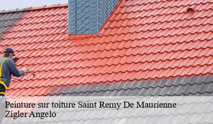 Peinture sur toiture  saint-remy-de-maurienne-73660 Zigler Angelo