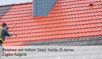Peinture sur toiture  saint-sorlin-d-arves-73530 Zigler Angelo
