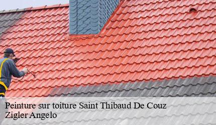 Peinture sur toiture  saint-thibaud-de-couz-73160 Zigler Angelo