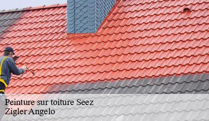Peinture sur toiture seez-73700 Zigler Angelo