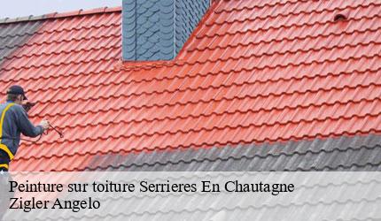 Peinture sur toiture  serrieres-en-chautagne-73310 Zigler Angelo