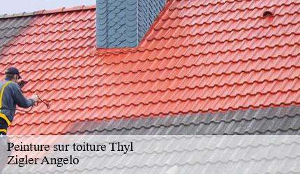 Peinture sur toiture  thyl-73140 Zigler Angelo