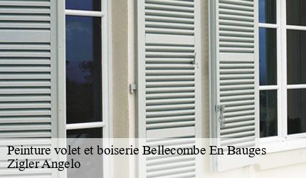Peinture volet et boiserie  bellecombe-en-bauges-73340 Zigler Angelo