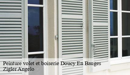 Peinture volet et boiserie  doucy-en-bauges-73630 Zigler Angelo