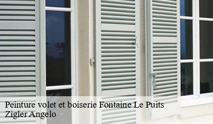 Peinture volet et boiserie  fontaine-le-puits-73600 Zigler Angelo