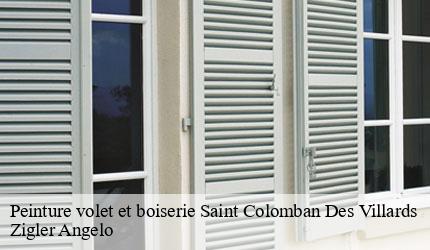 Peinture volet et boiserie  saint-colomban-des-villards-73130 Zigler Angelo