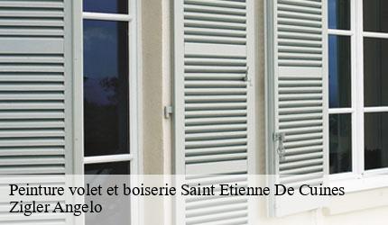 Peinture volet et boiserie saint-etienne-de-cuines-73130 Zigler Angelo