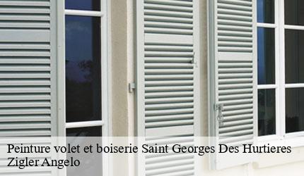 Peinture volet et boiserie  saint-georges-des-hurtieres-73220 Zigler Angelo