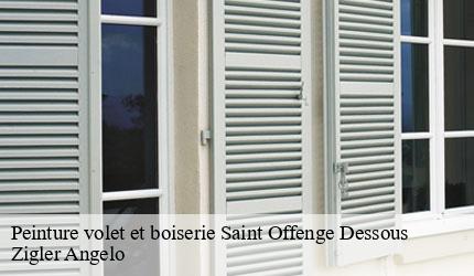 Peinture volet et boiserie  saint-offenge-dessous-73100 Zigler Angelo