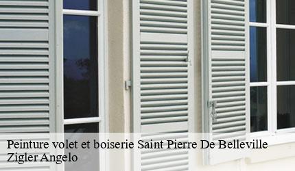 Peinture volet et boiserie  saint-pierre-de-belleville-73220 Zigler Angelo