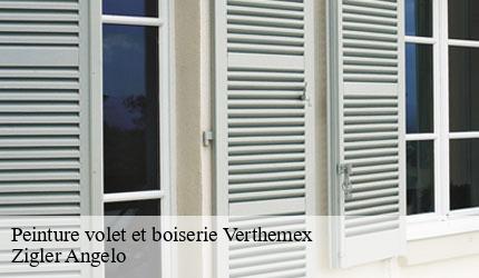 Peinture volet et boiserie verthemex-73170 Zigler Angelo